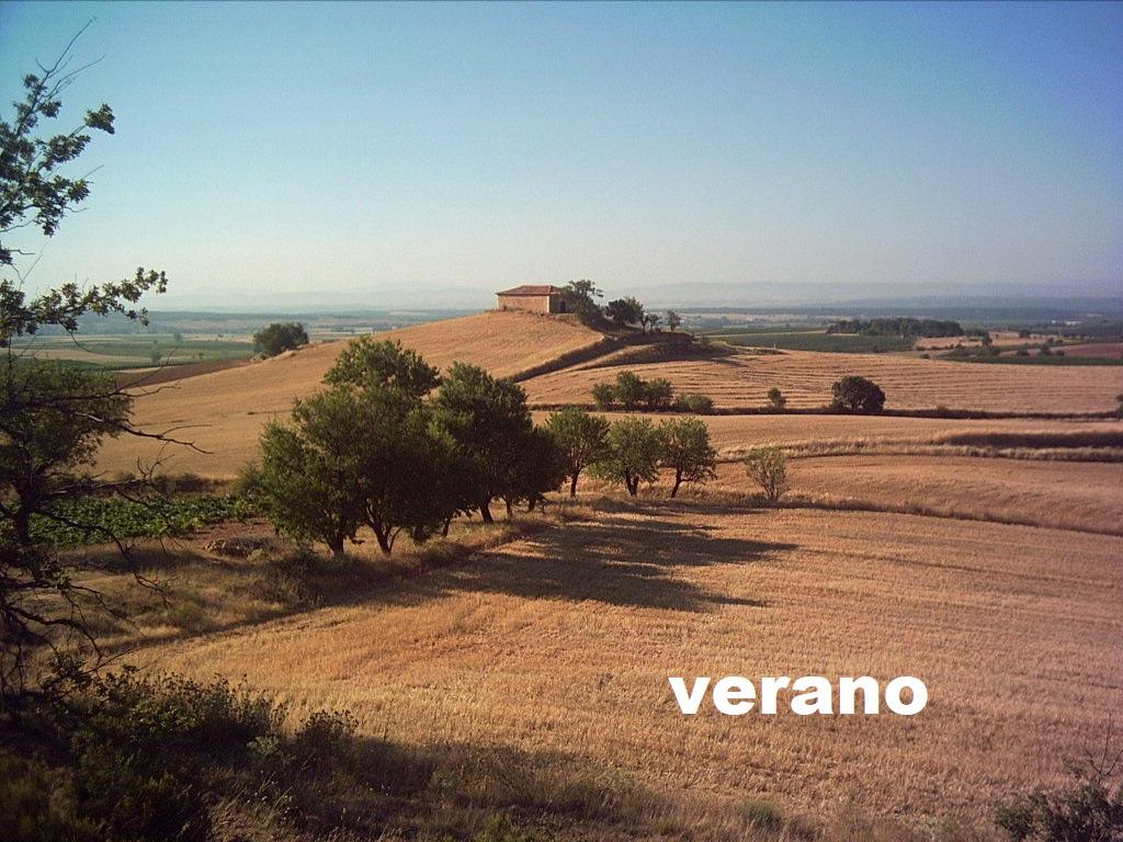 San Isidro en verano