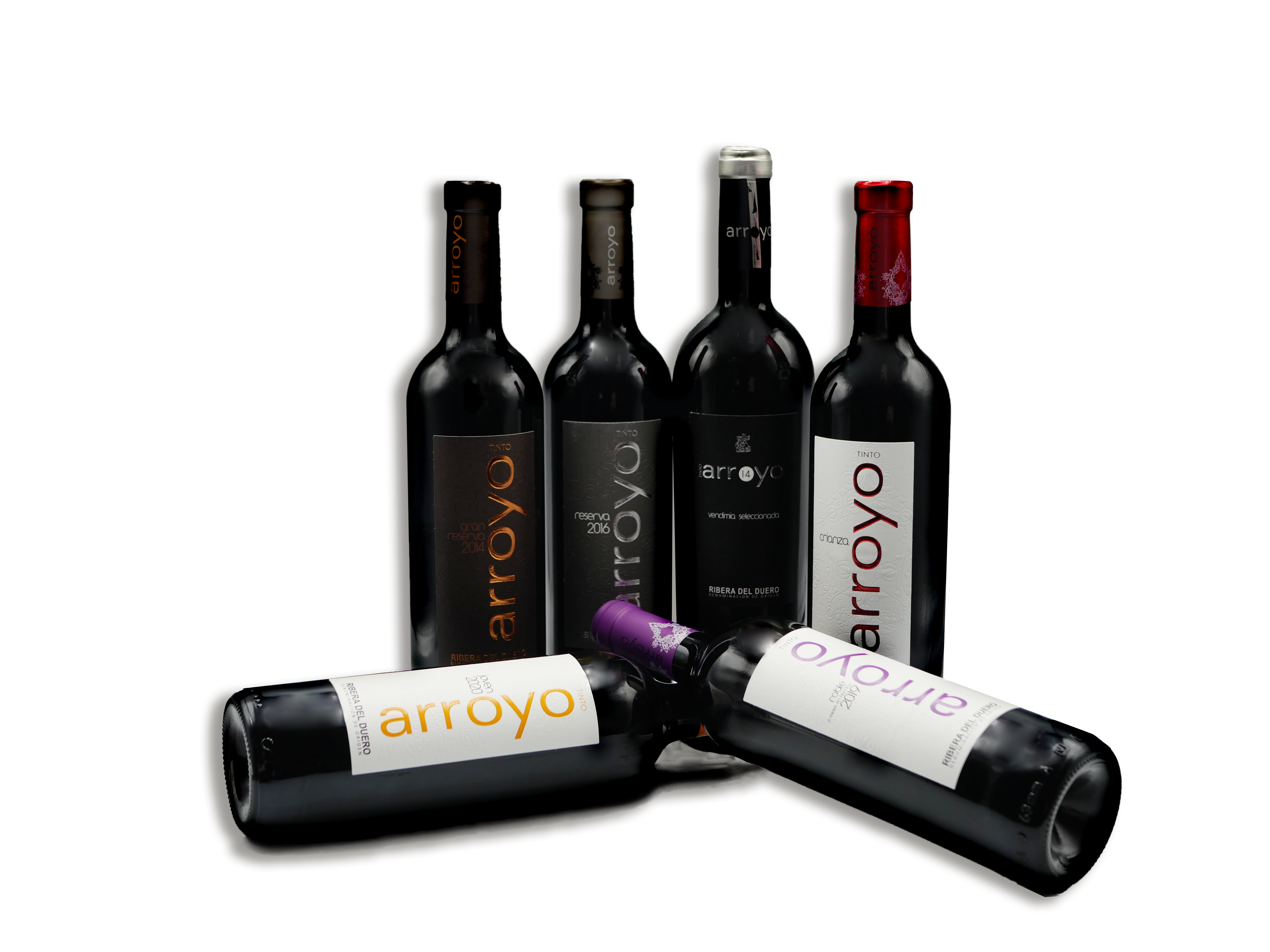 BODEGA SANTIAGO ARROYO