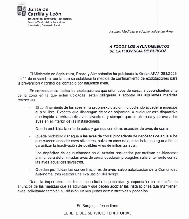 Medidas 