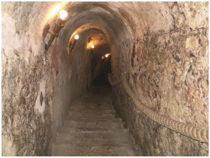 Bajada bodega