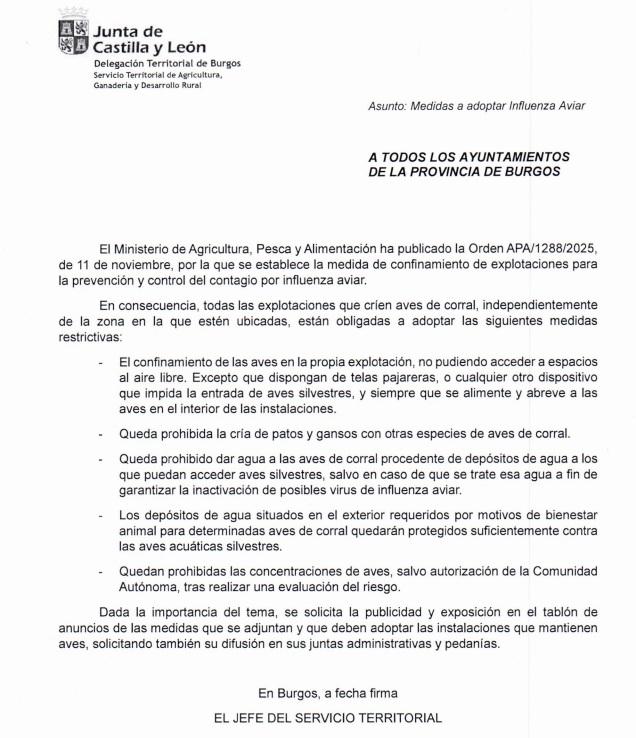 Medidas 