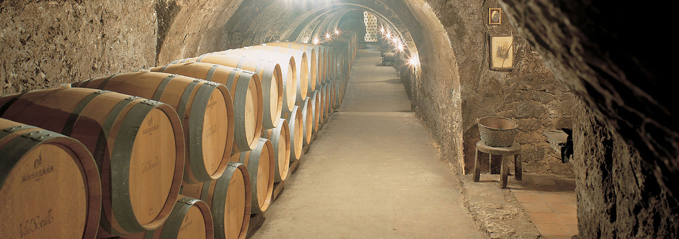 BODEGA ISMAEL ARROYO